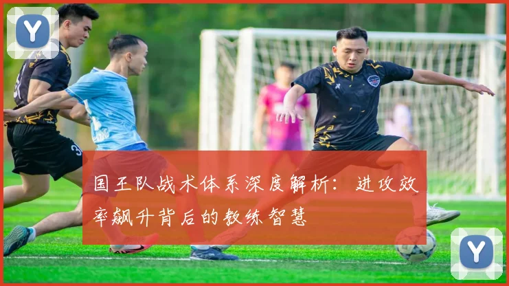国王队战术体系深度解析：进攻效率飙升背后的教练智慧