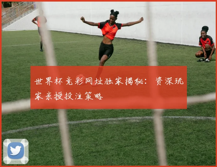 世界杯竞彩网址独家揭秘：资深玩家亲授投注策略