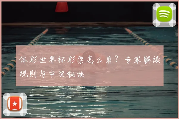 体彩世界杯彩票怎么看？专家解读规则与中奖秘诀