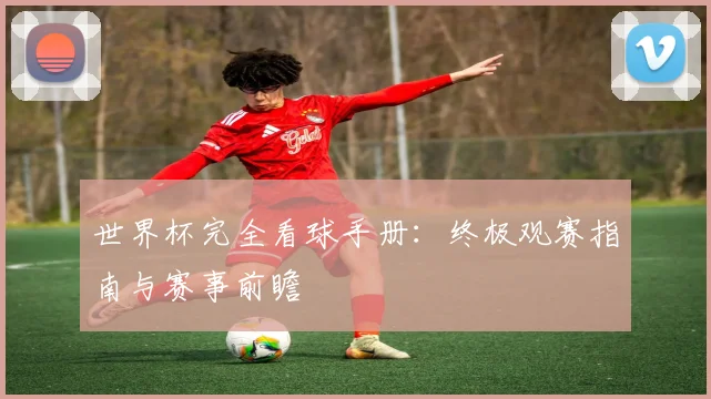 世界杯完全看球手册：终极观赛指南与赛事前瞻