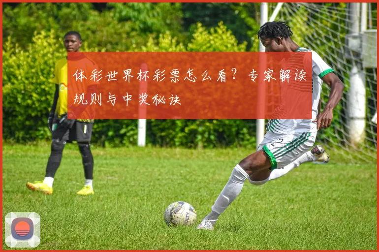体彩世界杯彩票怎么看？专家解读规则与中奖秘诀
