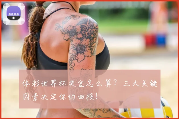 体彩世界杯奖金怎么算？三大关键因素决定你的回报！