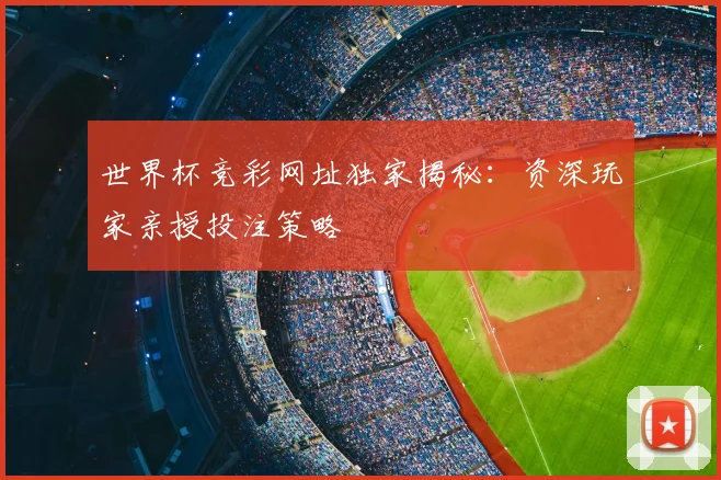 世界杯竞彩网址独家揭秘：资深玩家亲授投注策略