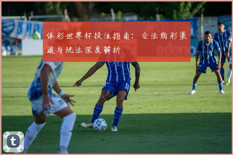 体彩世界杯投注指南：合法购彩渠道与玩法深度解析